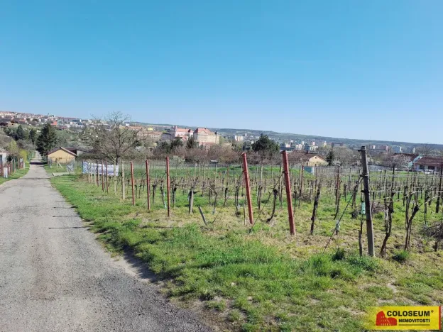 Prodej pozemku pro bydlení, Nový Šaldorf-Sedlešovice, 3428 m2