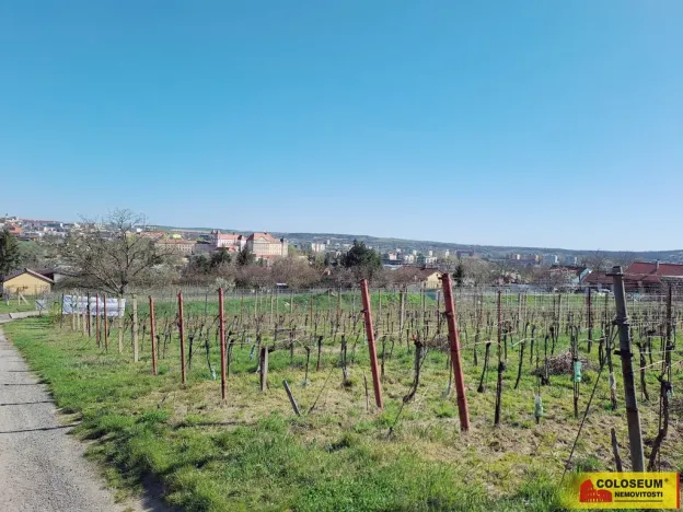 Prodej pozemku pro bydlení, Nový Šaldorf-Sedlešovice, 3428 m2