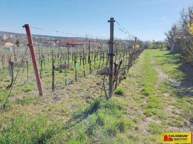 Prodej pozemku pro bydlení, Nový Šaldorf-Sedlešovice, 3428 m2