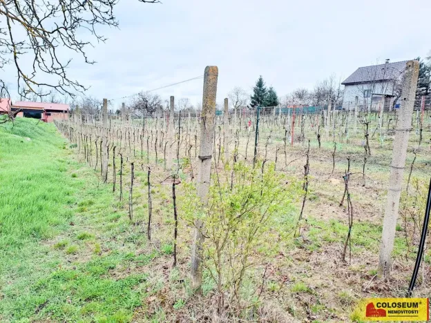 Prodej pozemku pro bydlení, Nový Šaldorf-Sedlešovice, 3428 m2