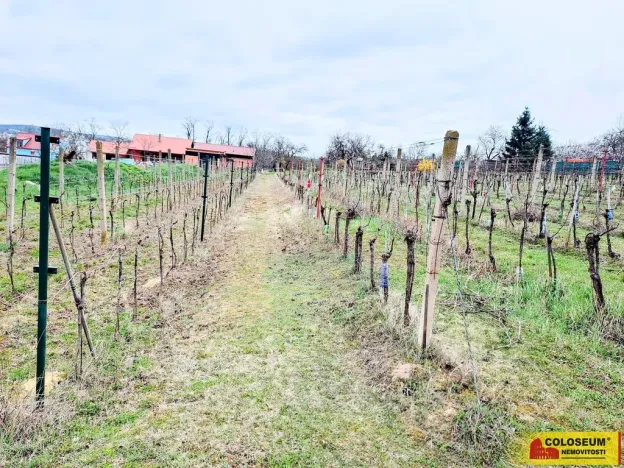 Prodej pozemku pro bydlení, Nový Šaldorf-Sedlešovice, 3428 m2