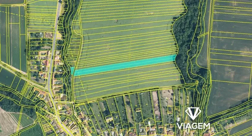 Prodej podílu pole, Labuty, 2579 m2