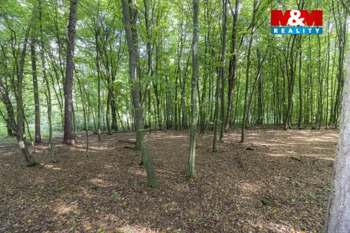 Prodej zahrady, Kostelec nad Černými lesy, Svatbínská, 10316 m2