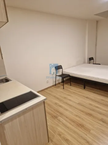 Pronájem bytu 1+kk, Praha, Vrážská, 25 m2