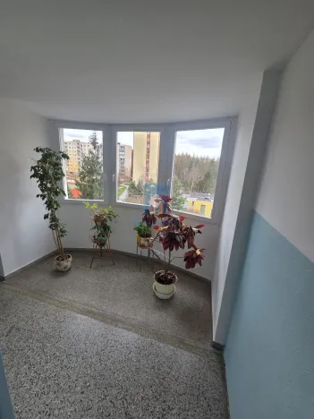 Pronájem bytu 3+1, Plzeň, Tachovská, 70 m2