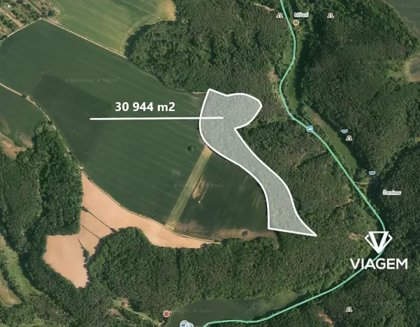 Prodej podílu lesa, Kokořín, 7736 m2