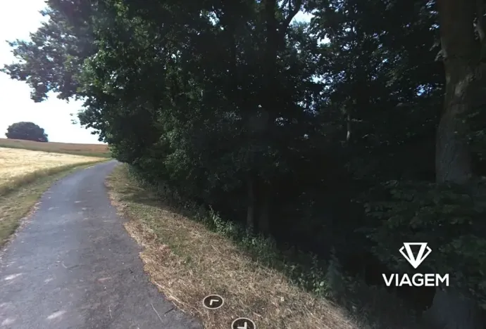 Prodej podílu lesa, Kokořín, 7736 m2