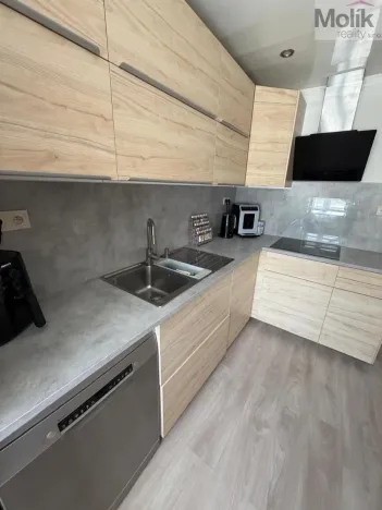 Prodej bytu 3+1, Most, Františka Malíka, 70 m2