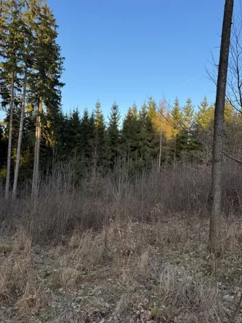 Prodej podílu lesa, Stará Paka, 4610 m2