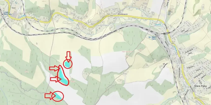 Prodej podílu lesa, Stará Paka, 4610 m2