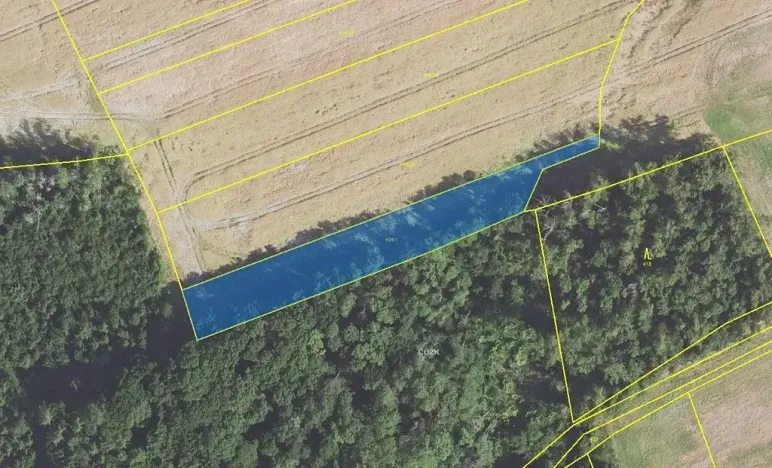 Prodej pole, Ptice, 2877 m2