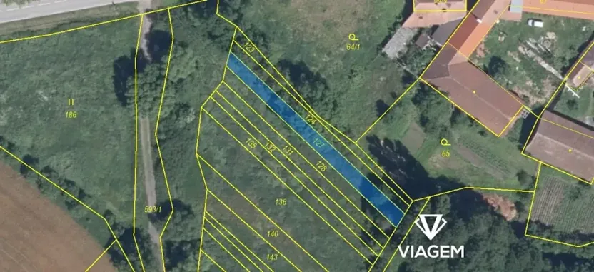 Prodej pole, Nové Syrovice, 259 m2