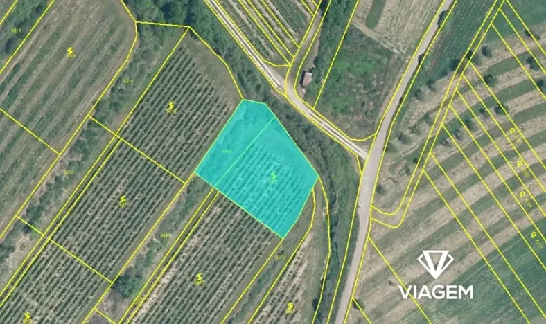 Prodej sadu/vinice, Šardice, 1856 m2