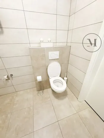 Pronájem bytu 1+kk, České Budějovice, Družstevní, 30 m2