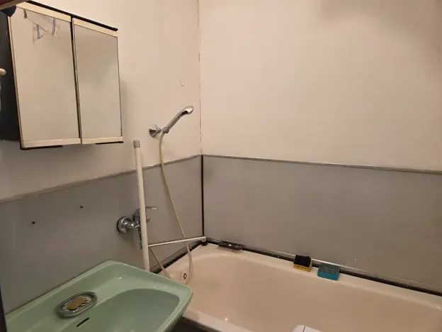 Prodej bytu 3+1, Valašské Meziříčí, Růžová, 60 m2