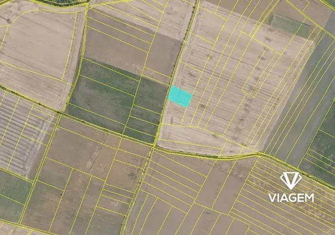 Prodej pole, Sudovo Hlavno, 2877 m2