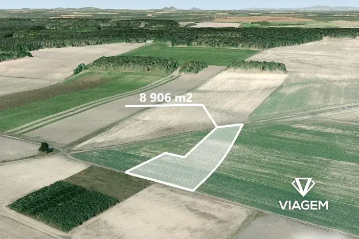 Prodej podílu pole, Sudovo Hlavno, 4453 m2