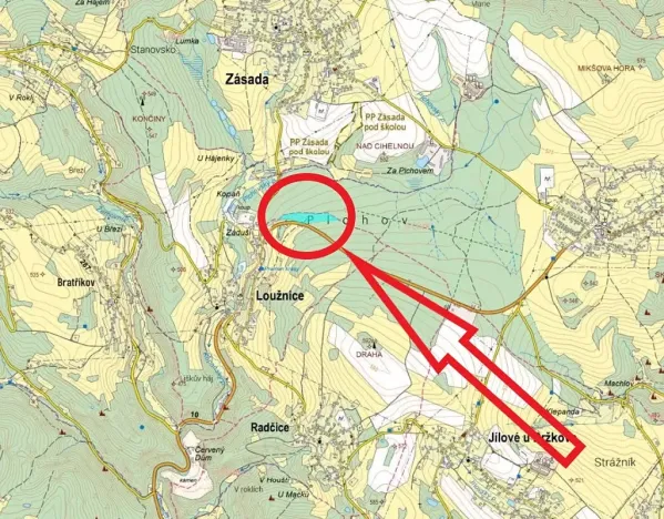 Prodej podílu lesa, Loužnice, 5026 m2