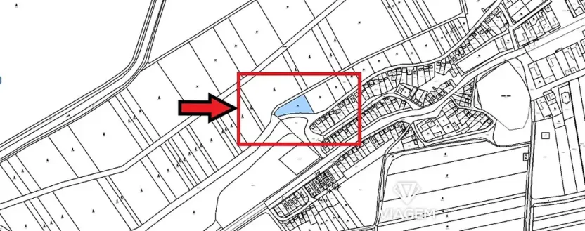 Prodej podílu lesa, Brod nad Dyjí, 644 m2