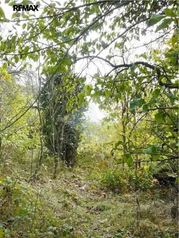 Prodej pozemku pro bydlení, Mariánské Lázně, Dobrovského, 1311 m2