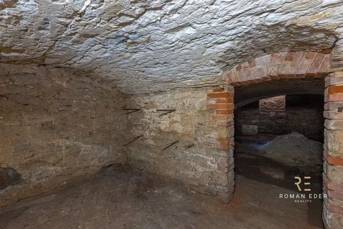 Prodej vícegeneračního domu, Chotiněves, 495 m2