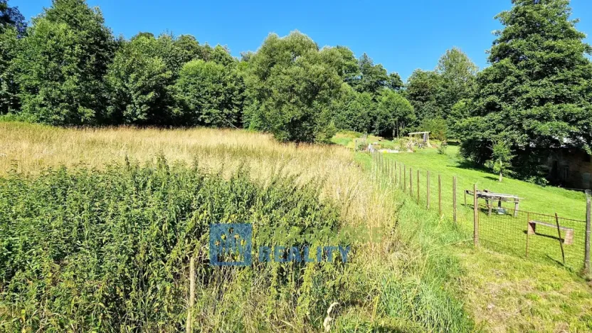 Prodej louky, Trutnov - Babí, 6930 m2