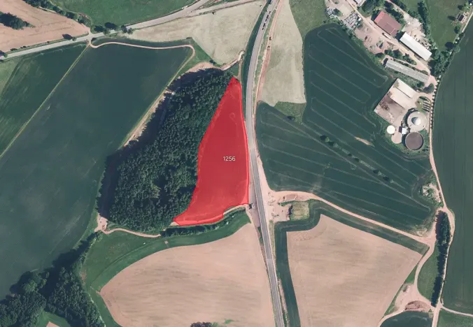 Prodej pole, Nová Paka, 26209 m2