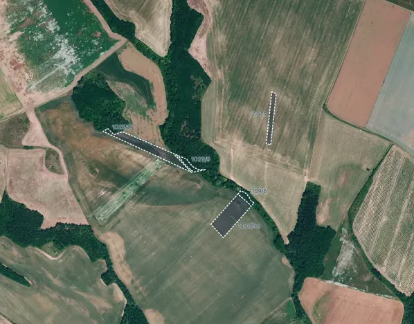 Prodej pole, Džbánice, 24528 m2