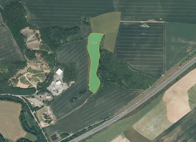 Prodej louky, Starý Plzenec, 25956 m2