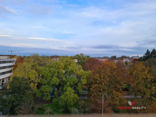 Pronájem bytu 2+kk, Hradec Králové, třída Karla IV., 70 m2