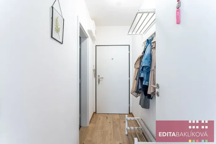 Pronájem bytu 1+kk, Olomouc, Eduarda Hamburgera, 33 m2