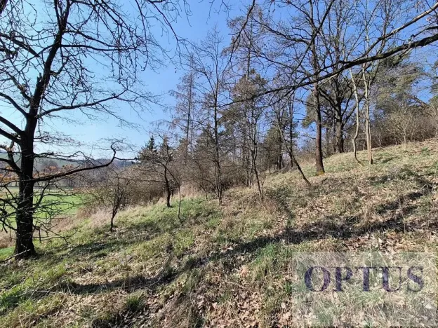 Prodej pozemku pro bydlení, Neveklov, 3385 m2