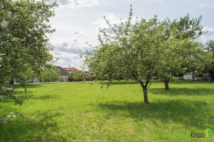 Prodej pozemku pro bydlení, Břasy, 1462 m2