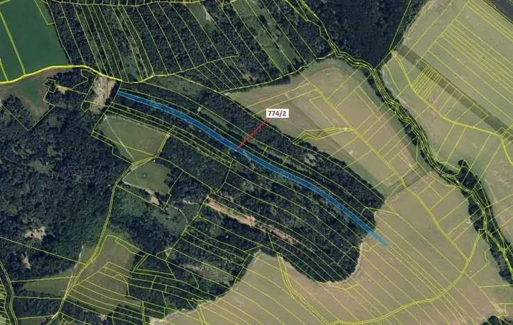 Dražba lesa, Přemyslovice, 7901 m2