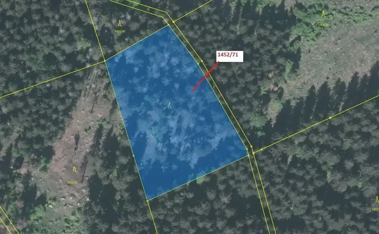 Dražba lesa, Horní Lomná, 6298 m2