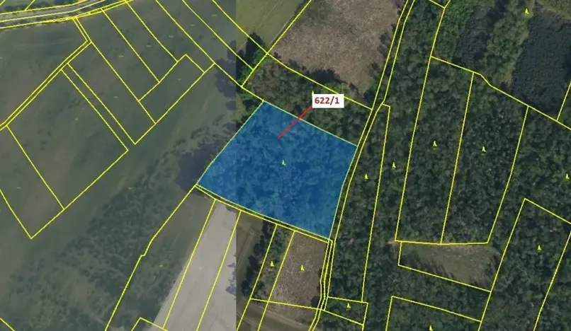 Dražba lesa, Bernardov, 12017 m2