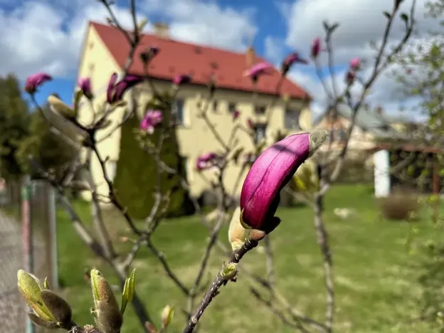 Prodej rodinného domu, Jeseník, 320 m2