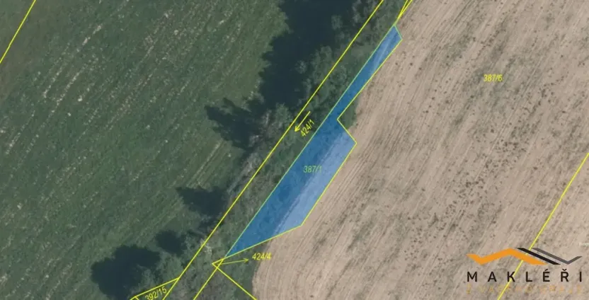 Prodej louky, Horní Radouň - Starý Bozděchov, 16013 m2