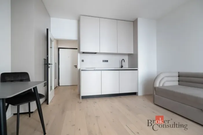 Pronájem bytu 1+kk, Praha - Vršovice, Krymská, 25 m2