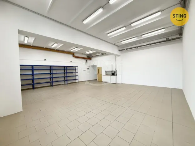 Pronájem skladu, Ostrava, Družební, 130 m2