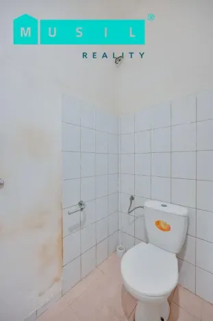 Prodej obchodního prostoru, Olomouc - Nová Ulice, Resslova, 38 m2