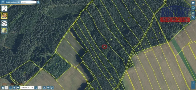 Prodej lesa, Zábřezí-Řečice, 18846 m2