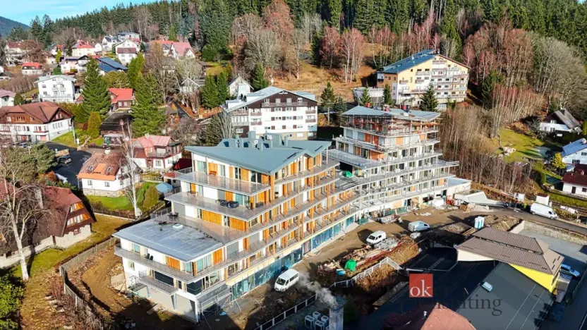 Prodej obchodního prostoru, Železná Ruda, Klatovská, 238 m2