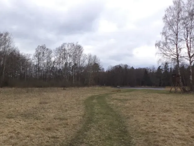 Prodej pozemku, Chlum u Třeboně - Lutová, 6727 m2