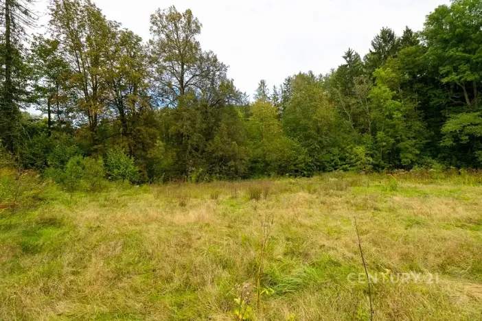 Prodej pozemku pro bydlení, Mnichovice, 2000 m2