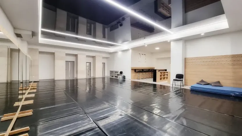 Pronájem komerční nemovitosti, Brno, Sukova, 233 m2