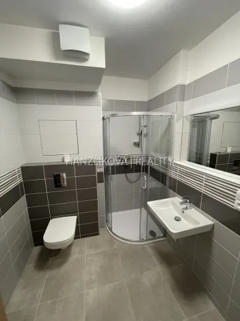 Pronájem bytu 1+kk, České Budějovice, 33 m2