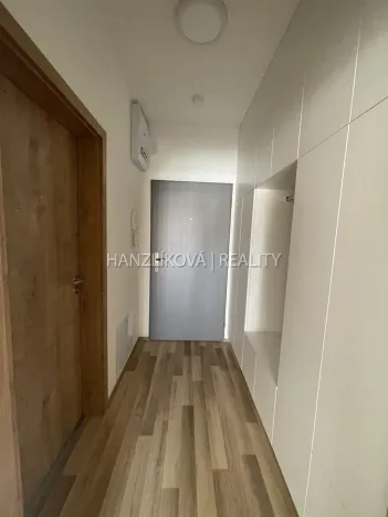 Pronájem bytu 1+kk, České Budějovice, 33 m2