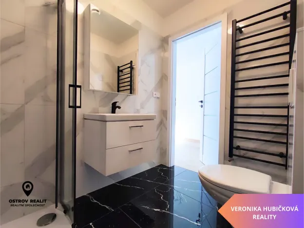 Pronájem bytu 1+kk, Olomouc, Pavlovická, 22 m2