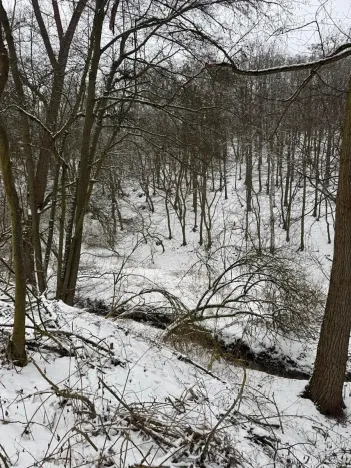 Prodej lesa, Chotiměř, 26763 m2